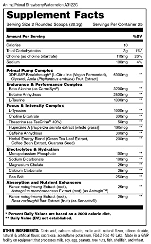 Animal Primal Muscle Hydration + Preworkout Powder – Contains Beta Alanine, 3DPump, Caffeine & Electrolytes – Improves Energy, Focus, Endurance & Absorption – Strawberry Watermelon Flavor, 17.9 oz