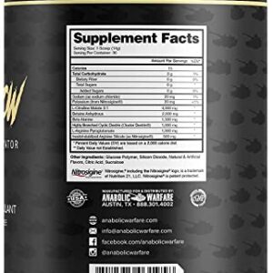 Anabolic Warfare Pump-N-Grow Muscle Pump Supplement Caffeine Free Pre Workout with L-Citrulline, L-Arginine, Beta-Alanine (Fruit Explosion– 30 Servings)