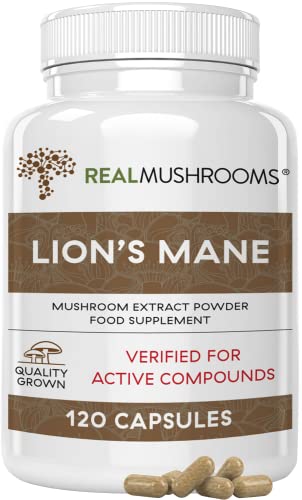 Lions Mane Brain and Focus Supplements - Mushroom Powder Extract Capsules - Non GMO and Gluten Free Supplement for Better Cognitive Health