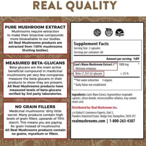 Lions Mane Brain and Focus Supplements - Mushroom Powder Extract Capsules - Non GMO and Gluten Free Supplement for Better Cognitive Health