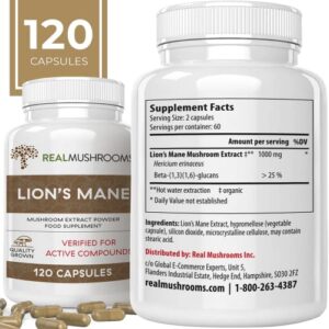 Lions Mane Brain and Focus Supplements - Mushroom Powder Extract Capsules - Non GMO and Gluten Free Supplement for Better Cognitive Health