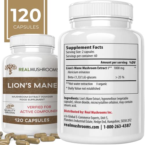 Lions Mane Brain and Focus Supplements - Mushroom Powder Extract Capsules - Non GMO and Gluten Free Supplement for Better Cognitive Health