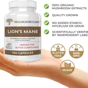 Lions Mane Brain and Focus Supplements - Mushroom Powder Extract Capsules - Non GMO and Gluten Free Supplement for Better Cognitive Health