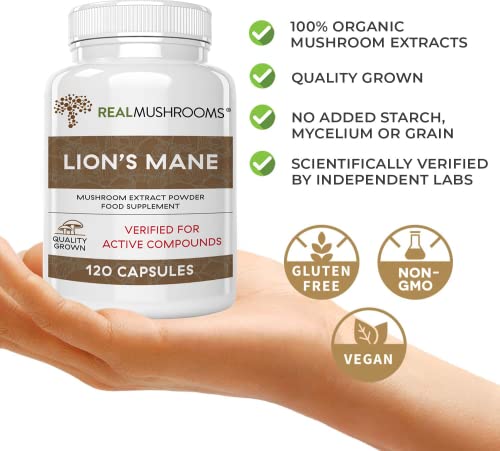 Lions Mane Brain and Focus Supplements - Mushroom Powder Extract Capsules - Non GMO and Gluten Free Supplement for Better Cognitive Health