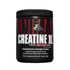 animal creatine xl powder – enhanced pre workout creatine monohydrate supplement – support brain health, delay fatigue, enhance endurance, improve recovery, men and women – fruit punch