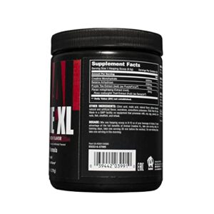 Animal Creatine XL Powder - Enhanced Pre Workout Creatine Monohydrate Supplement - Support Brain Health, Delay Fatigue, Enhance Endurance, Improve Recovery, Men and Women - Fruit Punch