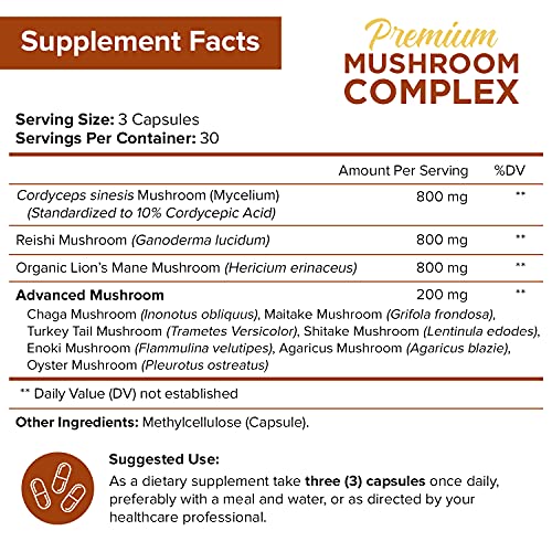 NutriFlair Mushroom Supplement 2600mg, 90 Capsules - 10 Mushrooms Blend - Reishi, Lions Mane, Cordyceps, Chaga, Turkey Tail, Maitake, Shiitake, Oyster Nootropic Complex - Brain, Energy, Focus Pills