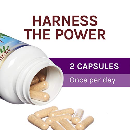 Host Defense, MyCommunity Capsules, Advanced Immune Support, Mushroom Supplement with Lion’s Mane and Reishi, Unflavored, 120