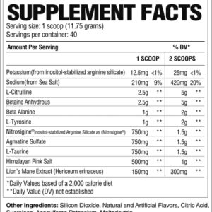 RAW Pump Stim Free Pre Workout | Non-Stimulant Pre Workout Supplement Powder Nitric Oxide Booster | Pre Workout Supplements Drink for Powerful Pumps During Workout | Watermelon (40 Servings)