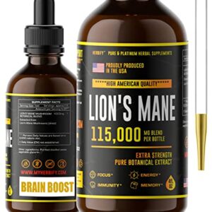 Lions Mane - Lions Mane Mushroom Supplement- Lions Mane Tincture - Natural Immune Support - Lions Mane Tincture for Memory, Focus & Clarity - Daily Mushroom Supplement - Vegan, Organic - 4 Fl oz