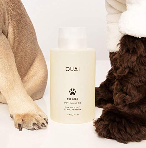 OUAI Fur Bébé Pet Shampoo, Mercer Street Scent, 16 Fl Oz