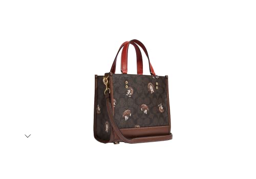 Coach Signature Jacquard Dempsey Tote 22 (IM/Brown Black Multi)