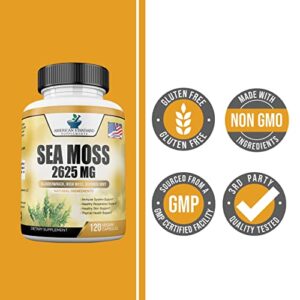 Organic Sea Moss 2625mg, Seamoss, Hand Harvested, Irish Moss Bladderwrack and Burdock Root, Sea Moss Capsules, Irish Sea Moss Alternative to Sea Moss Powder, Sea Moss Gel, 120 Vegan Capsules