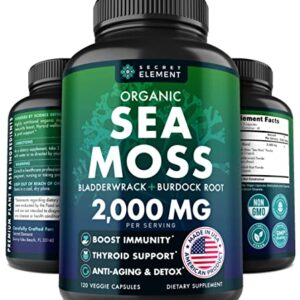 Organic Sea Moss Capsules - Burdock Root, Irish Moss and Bladderwrack Capsules for Immune System, Gut, Skin & Energy - 120 Irish SeaMoss Pills with Raw Sea Moss Powder