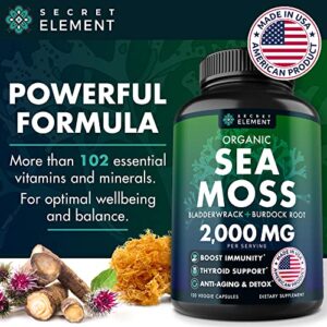 Organic Sea Moss Capsules - Burdock Root, Irish Moss and Bladderwrack Capsules for Immune System, Gut, Skin & Energy - 120 Irish SeaMoss Pills with Raw Sea Moss Powder