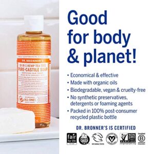 Dr. Bronner's - Pure-Castile Liquid Soap (4 oz Variety Pack) Peppermint, Lavender, Tea Tree, Eucalyptus, Almond, & Baby Unscented - Made with Organic Oils, 18-in-1 Uses: Face, Body, Hair, Laundry, Pets and Dishes | 6 Count