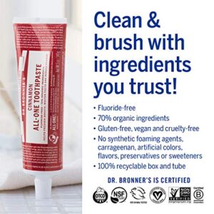 Dr. Bronner’s - All-One Toothpaste, Cinnamon, 5 Ounce - 70% Organic Ingredients, Natural and Effective, Fluoride-Free, SLS-Free, Helps Freshen Breath, Reduce Plaque, Whiten Teeth, Vegan