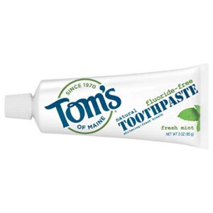 tom’s of maine travel size fluoride-free fresh mint toothpaste, 3 oz. (packaging may vary)
