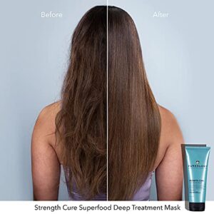 Pureology Strength Cure Superfood Treatment | For Damaged, Color-Treated Hair | Strengthening Leave-in Treatment | Silicone-Free | Vegan | Updated Packaging | 6.8 Fl. Oz. |