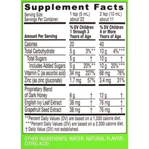 Zarbee's Naturals Children's Grape Cough Syrup + Mucus Relief - 4 oz