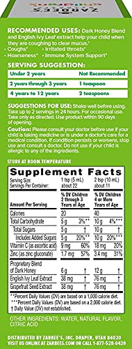 Zarbee's Natural Children's Cough Syrup + Mucus With Dark Honey Natural Grape Flavor- 4oz, Pack of 3