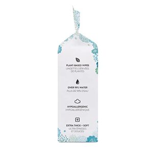 The Honest Company Clean Conscious Wipes | 100% Plant-Based, 99% Water, Baby Wipes | Hypoallergenic, Dermatologist Tested | Geo Mood, 288 Count