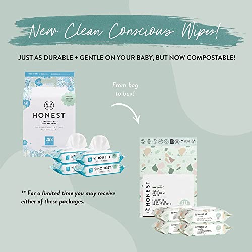 The Honest Company Clean Conscious Wipes | 100% Plant-Based, 99% Water, Baby Wipes | Hypoallergenic, Dermatologist Tested | Geo Mood, 288 Count