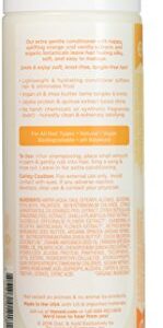 The Honest Company Shampoo & Conditioner Set 10 fl.oz.(296mL), Pack of 2