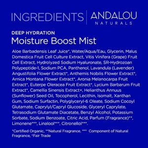 Andalou Naturals Face Mist, Moisture Boost Facial Spray with Hyaluronic Acid & Collagen, Hydrating & Moisturizing Skin Care for Dry and Dehydrated Skin, 6 fl oz