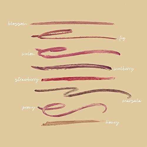 Honest Beauty Lip Crayon-Demi-Matte, Strawberry with Jojoba Oil & Shea Butter | Lightweight, High-Impact Color | EWG Certified + Dermatologist tested + Hypoallergenic & Cruelty free | 0.105 oz.