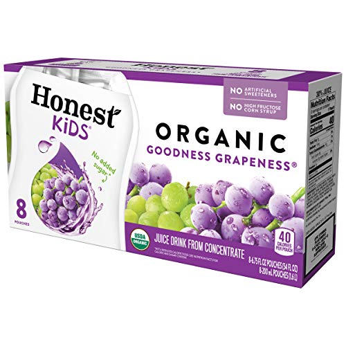 Honest Kids, Goodness Grapeness Grape Fruit Juice, 6.75 Fl Oz (pack of 8)