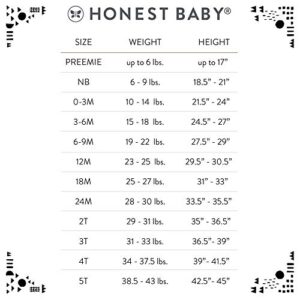 HonestBaby Organic Cotton Reversible Hoodie, Pattern Play, 0-3 Months