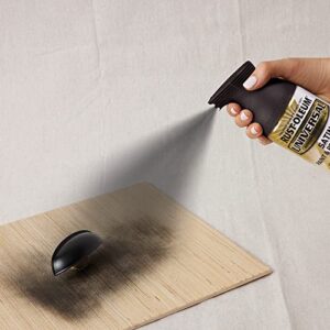 Rust-Oleum 245197 Universal All Surface Spray Paint, 12 oz, Satin Black