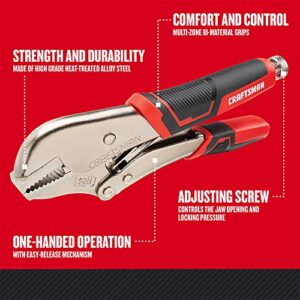 CRAFTSMAN Locking Pliers, Straight Jaw, 10-Inch (CMHT82549)