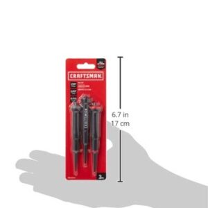 CRAFTSMAN Nail Set, 3-Piece Set (CMHT82541)