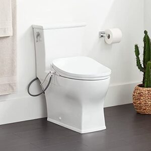 signature hardware 467007-b carraway 1.28 gpf one piece elongated chair height toilet with left hand lever – bidet seat included