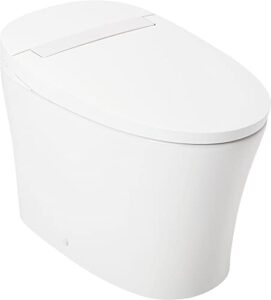 signature hardware 477058-12-r narelle 1.28 gpf one piece elongated toilet – standard seat included