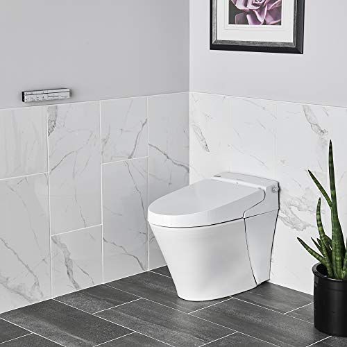 American Standard 297AA204-291 Advanced Clean 100 SpaLet Toilet, Alabaster White