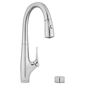 american standard 4902330.002 saybrook dual-spray filtered kitchen faucet in polished chrome