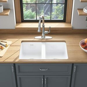 American Standard 77DB30190.308 Delancey 30x19 Double Bowl Cast Iron Kitchen Sink, Brilliant White