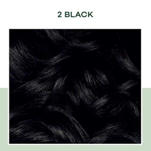 Clairol Natural Instincts Demi-Permanent Hair Dye, 2 Black Hair Color, Pack of 3