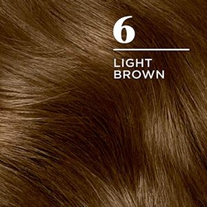 Clairol Nice'n Easy Permanent Hair Dye, 6 Light Brown Hair Color, Pack of 3