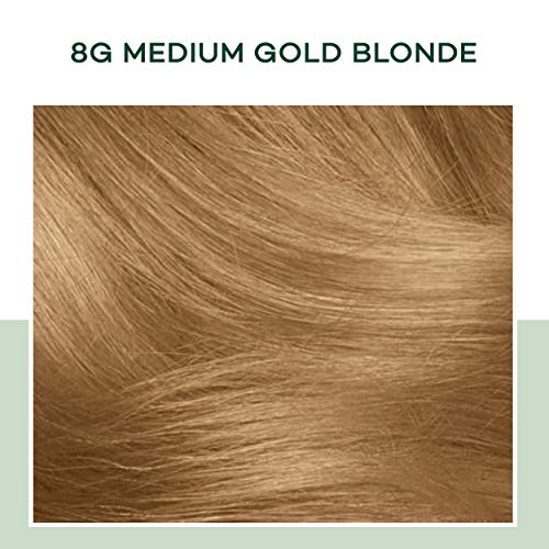 Clairol Natural Instincts Demi-Permanent Hair Dye, 8G Medium Golden Blonde Hair Color, Pack of 3