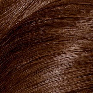 Clairol Nice'n Easy Perfect 10 Permanent Hair Dye, 6WN Light Chocolate Brown Hair Color, Pack of 1