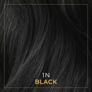 Clairol Professional Permanent Crème Hair Color 1n Black