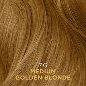 Clairol Professional Permanent Crème Hair Color 7g Med Gold Blonde