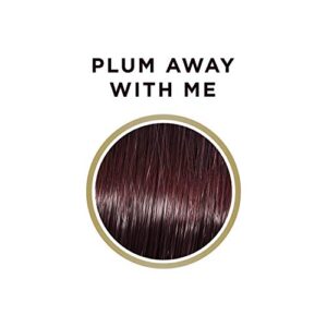 Clairol Professional Flare Me Hair Color Dark 6vv Plum Away, 2 oz