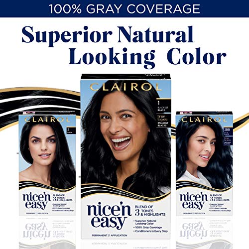 Clairol Nice'n Easy Permanent Hair Dye, 1 Blackest Black Hair Color, Pack of 1