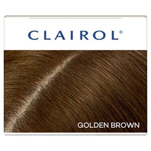 Clairol Root Touch-Up Semi-Permanent Hair Color Blending Gel, 5G Golden Brown, Pack of 1