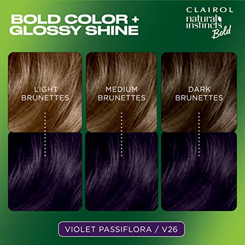 Natural Instincts Bold Permanent Hair Dye, V26 Violet Passiflora Hair Color, Pack of 1